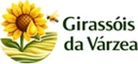 Girassois da Varzea
