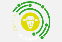 universo-pecu